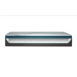 Adapt 2.0 Medium Mattress