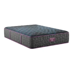 Beautyrest World Class Medium Firm Mattress