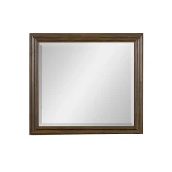 Blackwater Falls Mirror