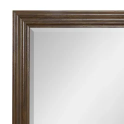 Blackwater Falls Mirror