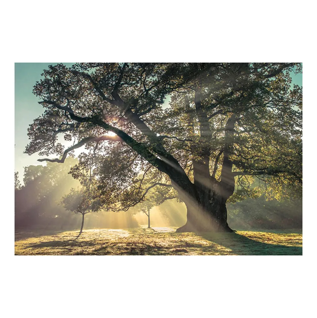 Breaking Through