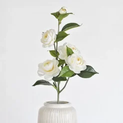 Camellia Flower Stems