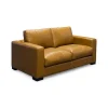 Canyon Leather Loveseat