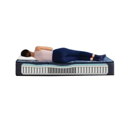 Delani Dreams Firm Perfect Sleeper Mattress