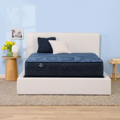 Delani Dreams Firm Perfect Sleeper Mattress