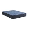 Delani Dreams Medium Perfect Sleeper Mattress
