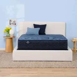 Delani Dreams Medium Perfect Sleeper Mattress