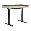 Drake Lift Desk
