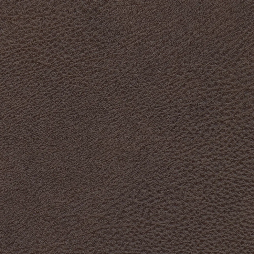 Durango Leather Reclining Sofa