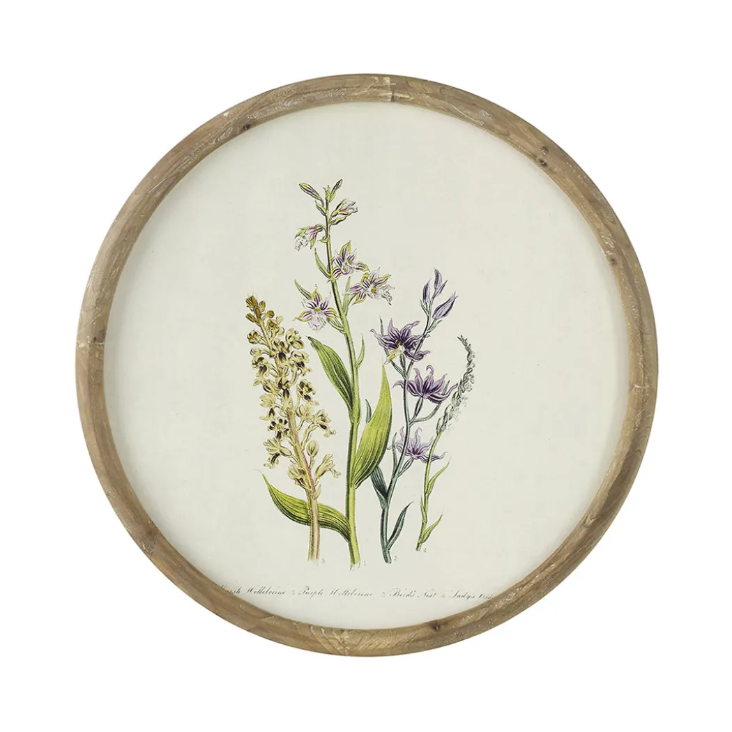 Flora Round Prints (Set of 4)