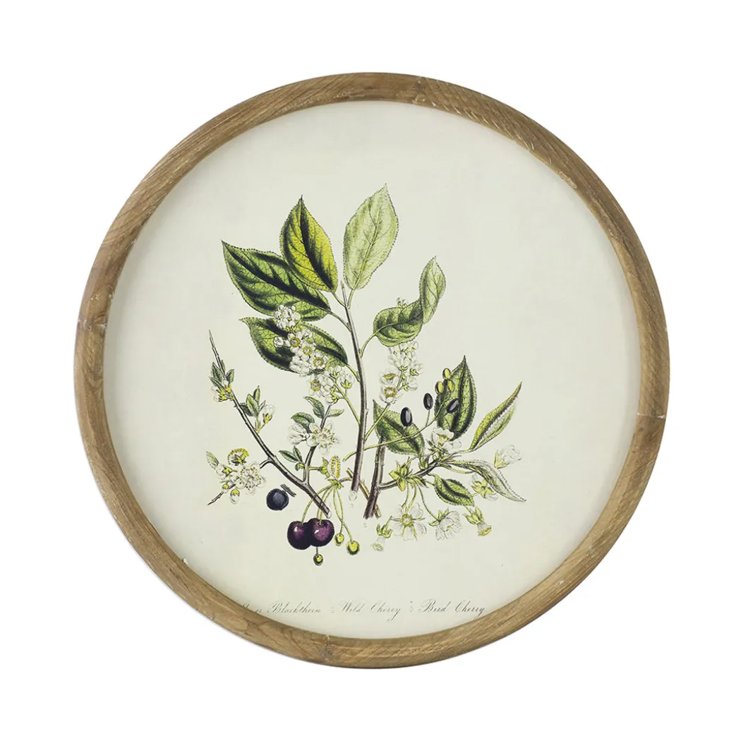 Flora Round Prints (Set of 4)