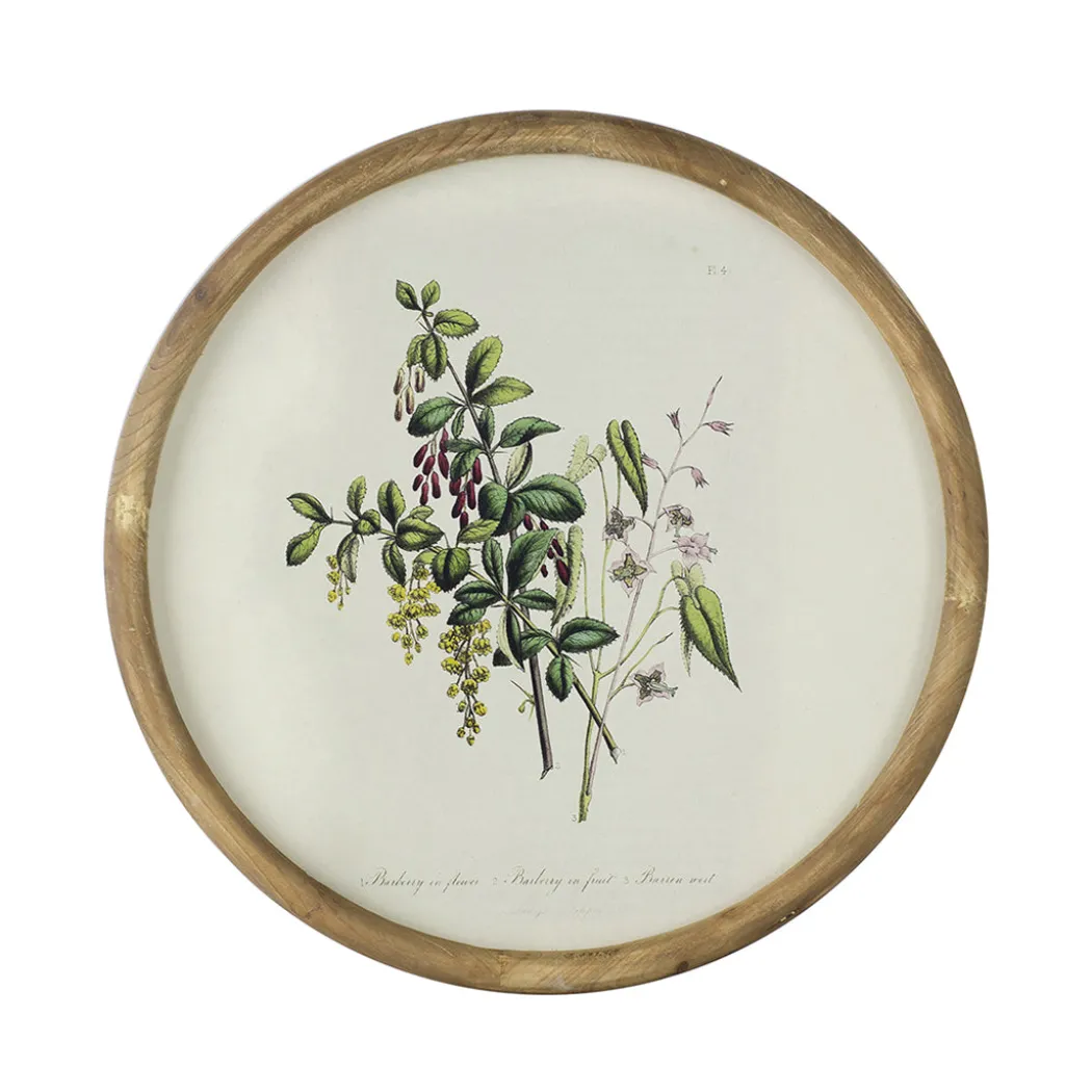 Flora Round Prints (Set of 4)