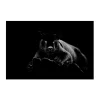 Glass Black Panther