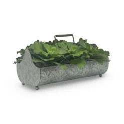 Green Succulents in Metal Planter