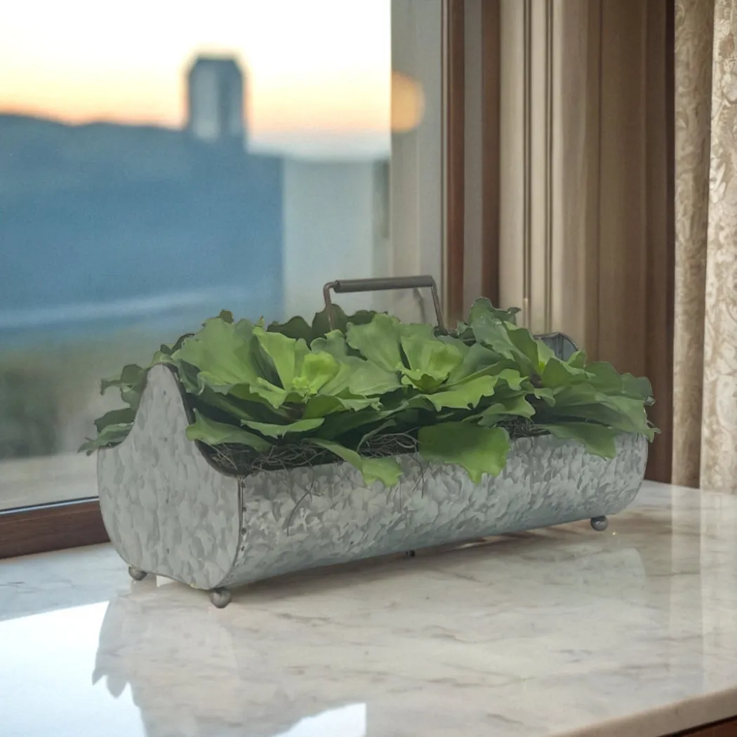 Green Succulents in Metal Planter