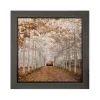 Hall of Trees