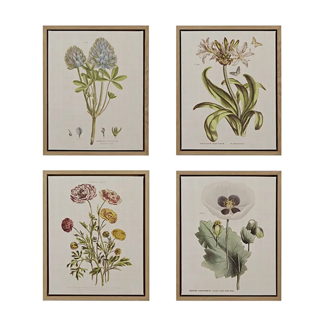 Herbal Botany (Set of 4)
