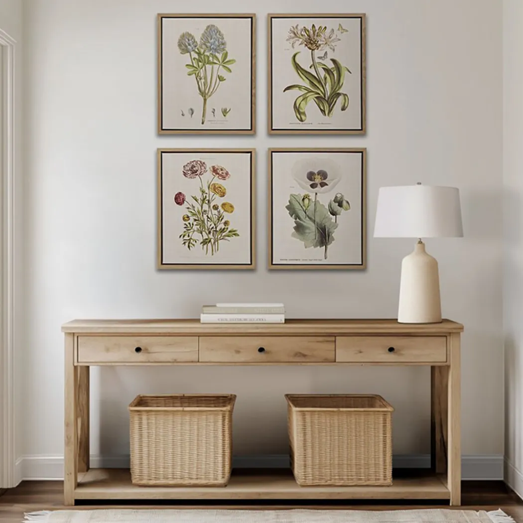 Herbal Botany (Set of 4)