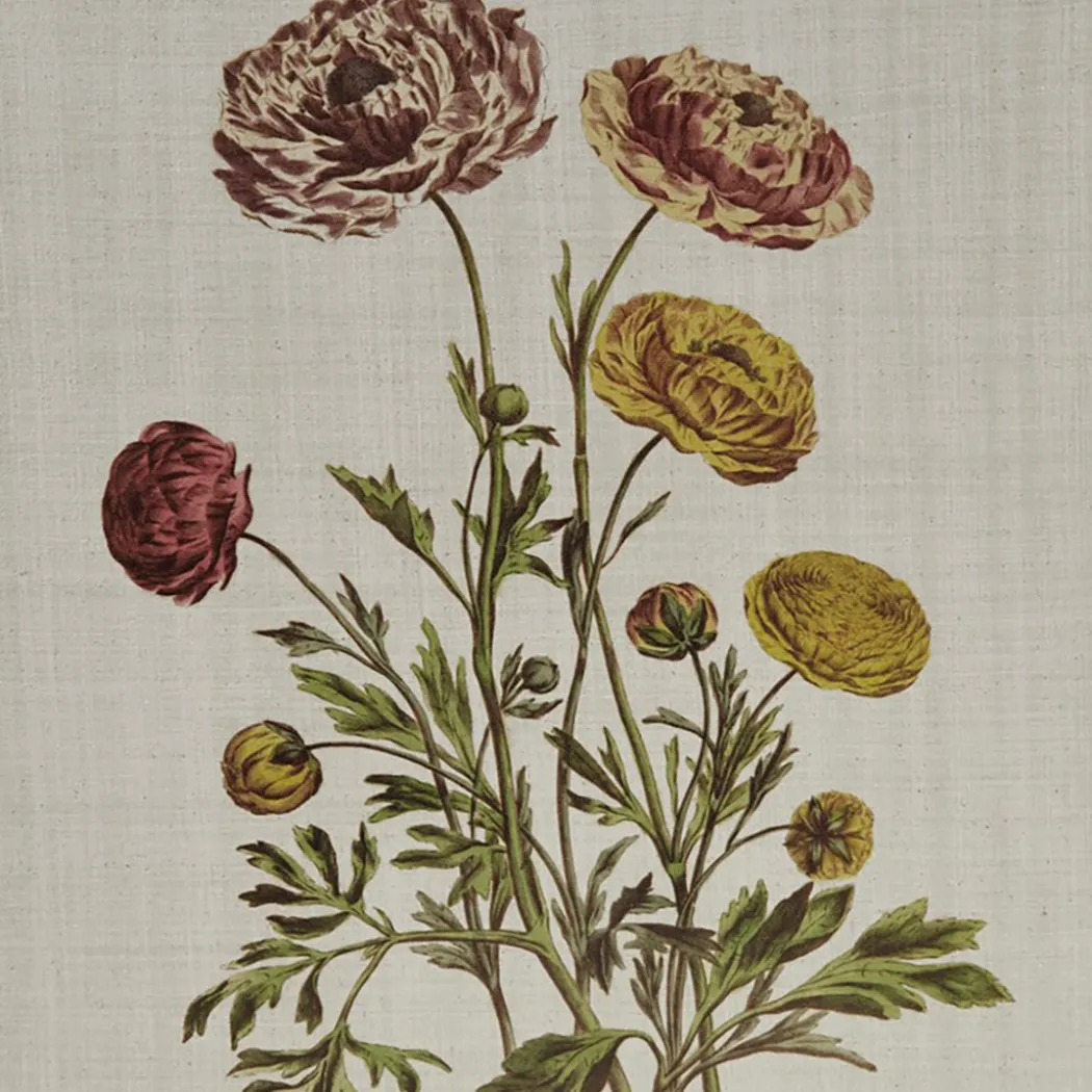 Herbal Botany (Set of 4)