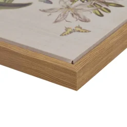 Herbal Botany (Set of 4)