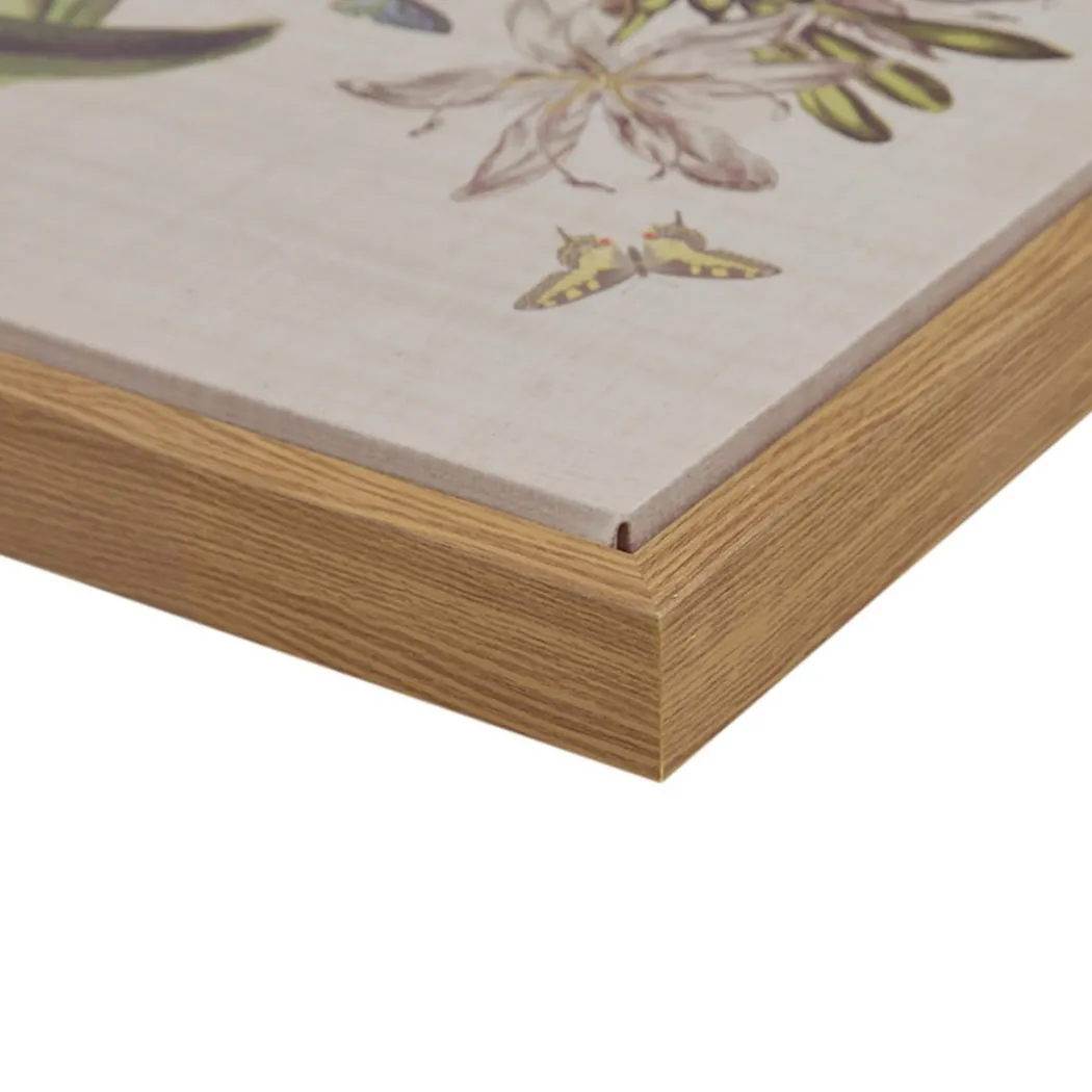 Herbal Botany (Set of 4)
