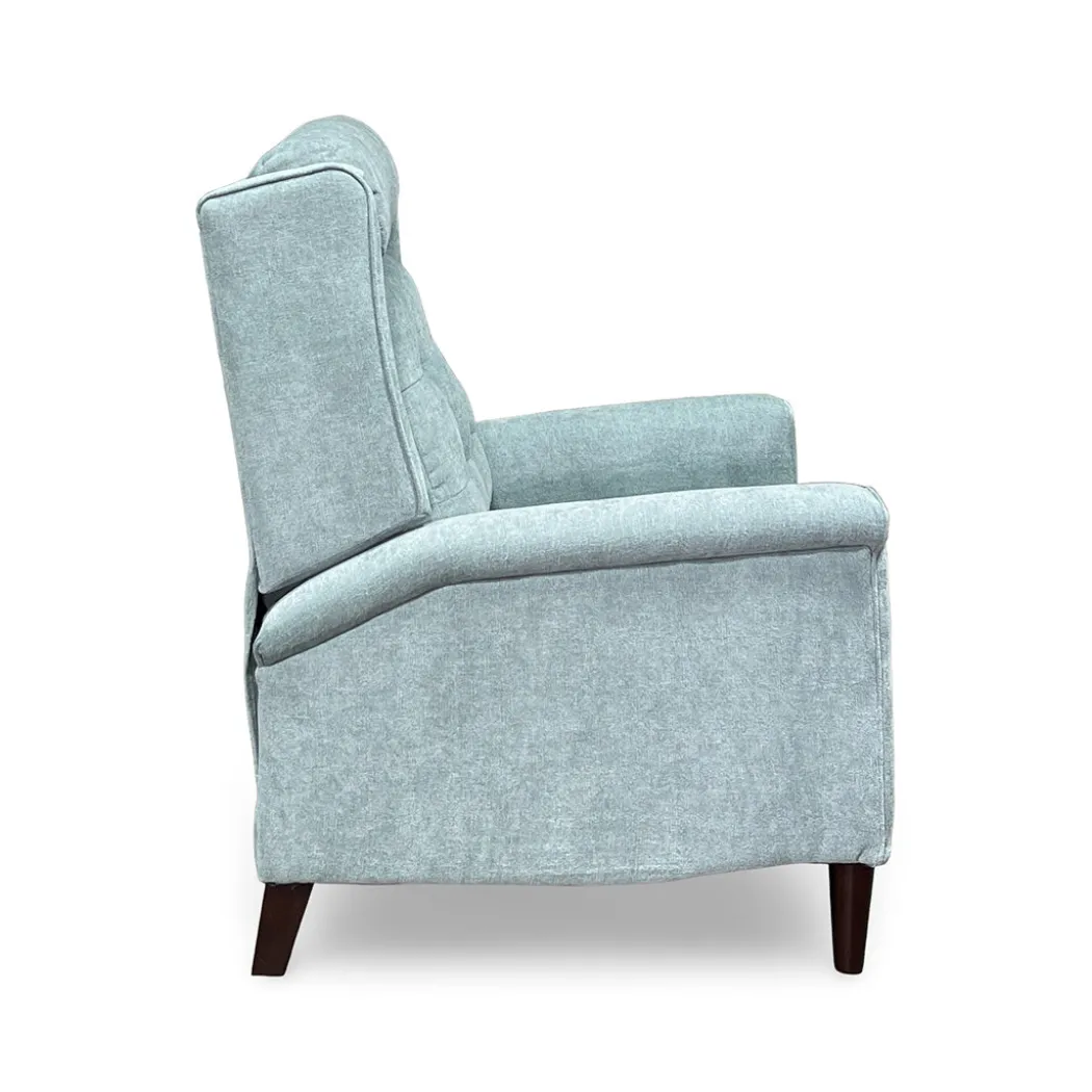 Holland Push Back Recliner