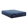 iSeries NXG 4500 Hybrid Plush Mattress