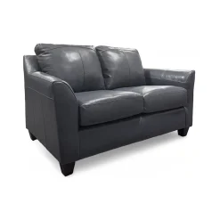 Josh Leather Loveseat