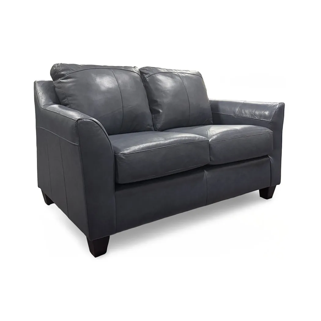 Josh Leather Loveseat