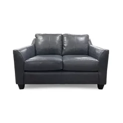 Josh Leather Loveseat
