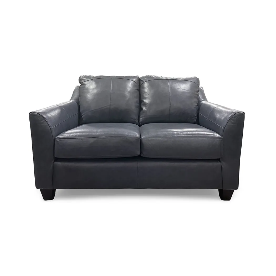 Josh Leather Loveseat