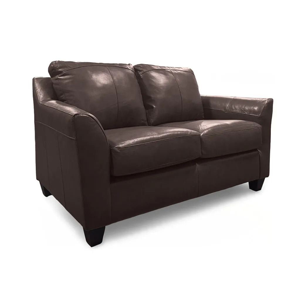 Josh Leather Loveseat