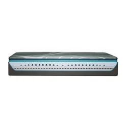 LuxeAdapt 2.0 Soft Mattress