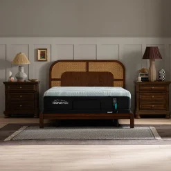 ProAdapt Medium Mattress