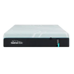 ProAdapt Medium Mattress