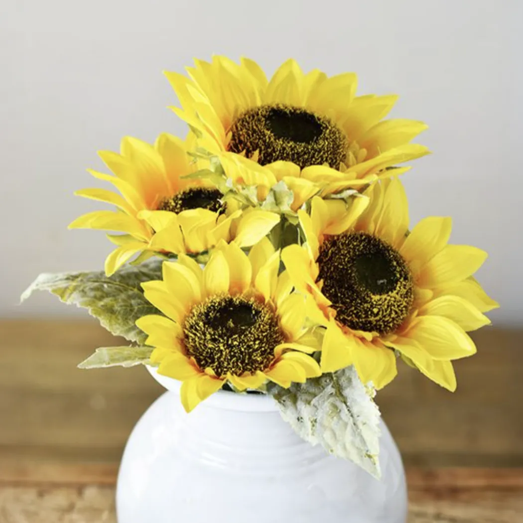 Sunflower Stem