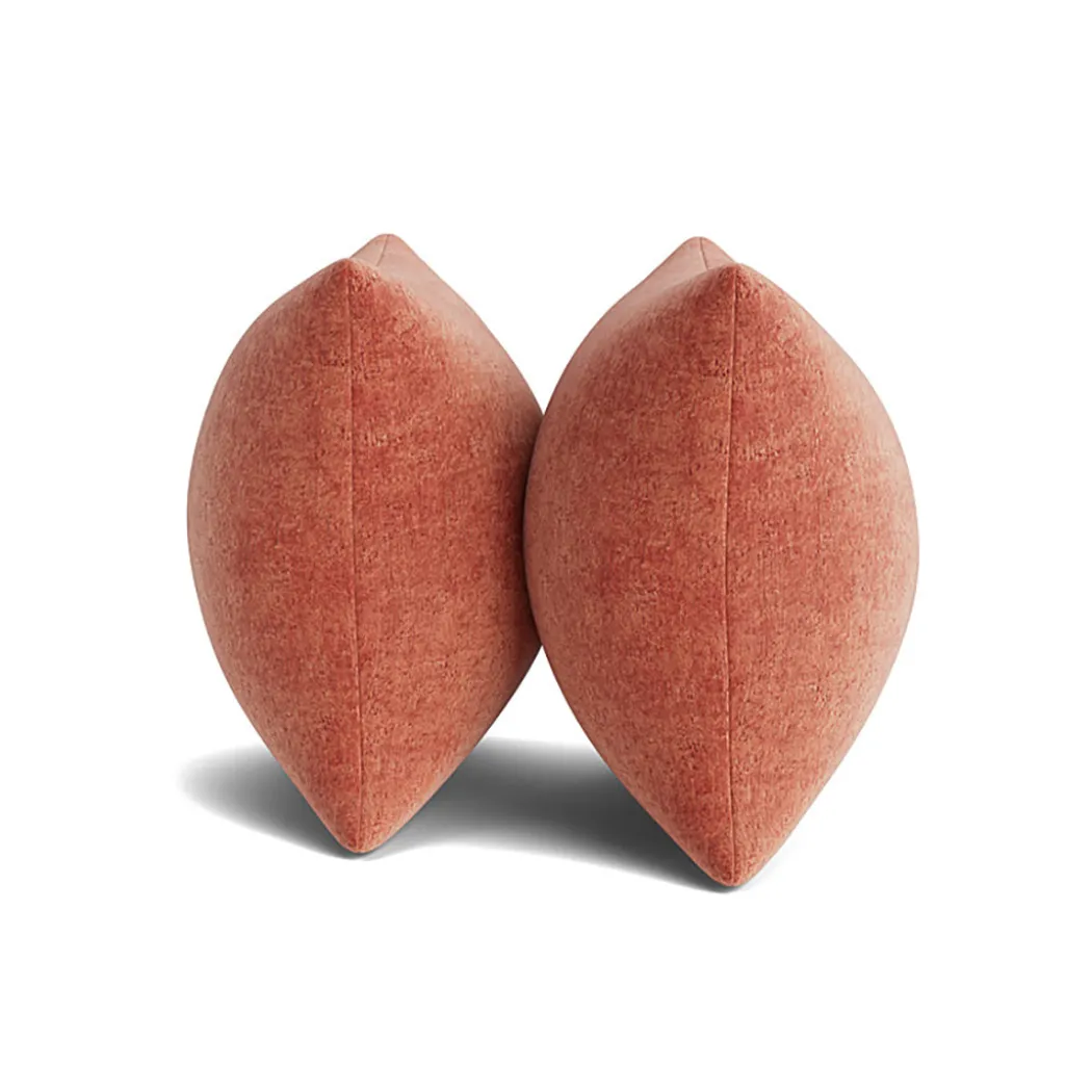 Terra Rose Accent Pillows (Set of 2)