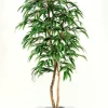 Weeping Ficus Tree in Metal Container - 7 Ft